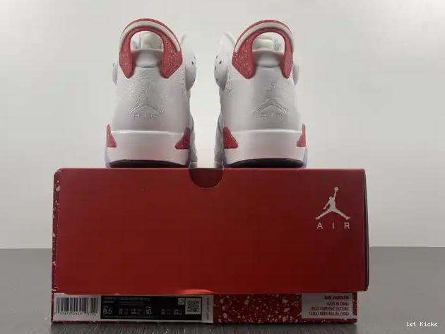1st Kicks Shoes Hare CT8529-162 6 Jordan Retro 0521